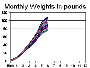monthly_weights-6 (5K)