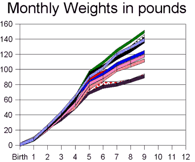 weight_chart (9K)