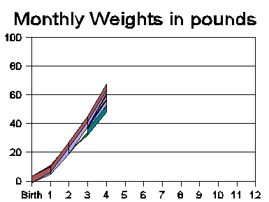 monthly-weights-4 (4K)