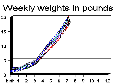 weights (5K)