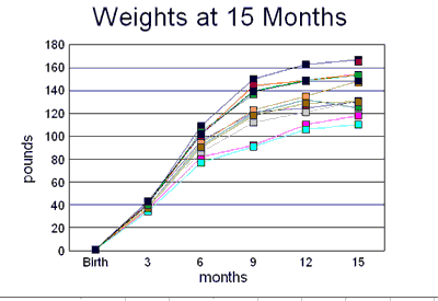 weights_at_15_months-small (6K)
