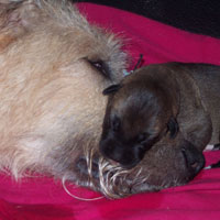 February, 2005 - Myrna and puppy